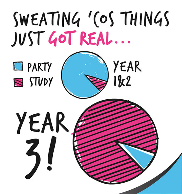 Pie chart graphic showing percentage of partying to study at university (lots of partying)